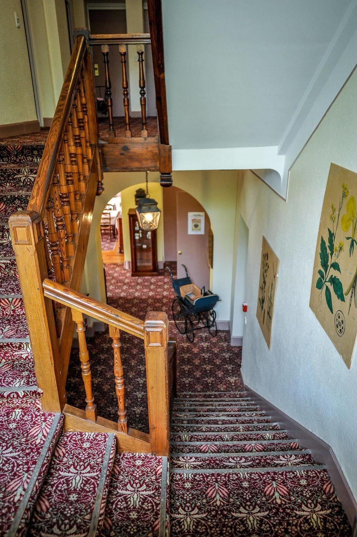 Hotel Les Goelands سان جان دو لوز المظهر الخارجي الصورة